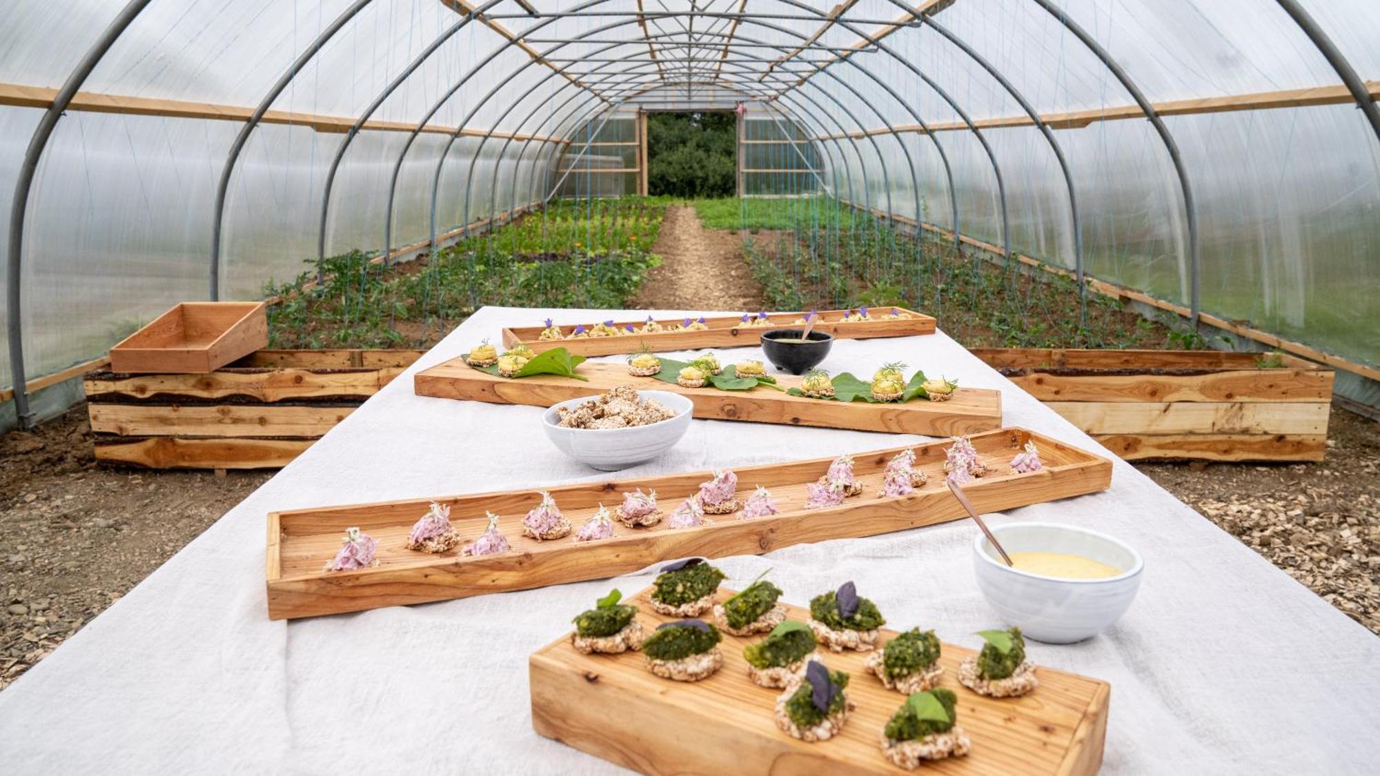 Mothir Joerth Organic Farm Guesthouse In Vallanes Buitenkant foto