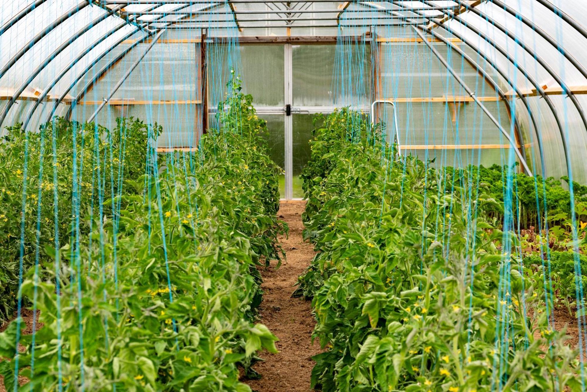 Mothir Joerth Organic Farm Guesthouse In Vallanes Buitenkant foto