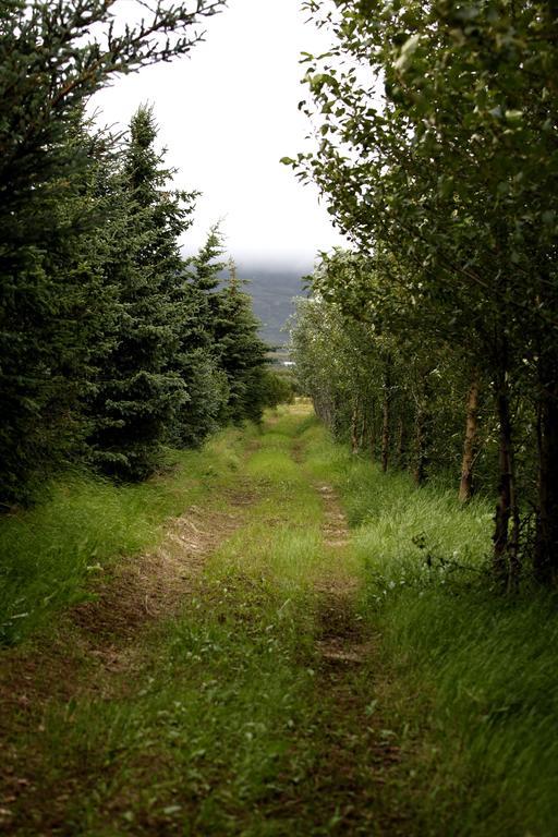 Mothir Joerth Organic Farm Guesthouse In Vallanes Buitenkant foto