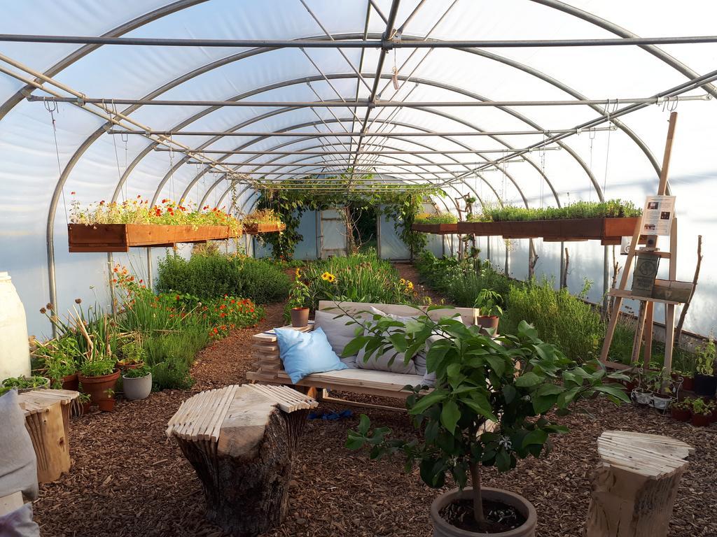 Mothir Joerth Organic Farm Guesthouse In Vallanes Buitenkant foto