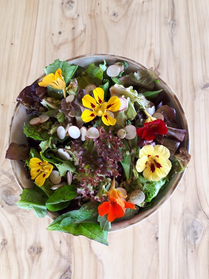 Mothir Joerth Organic Farm Guesthouse In Vallanes Buitenkant foto